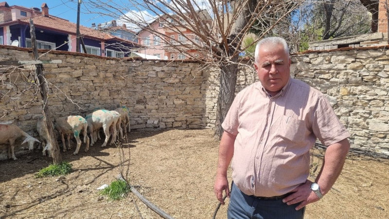 Kütahya'da sokak köpekleri, sürüye saldırdı