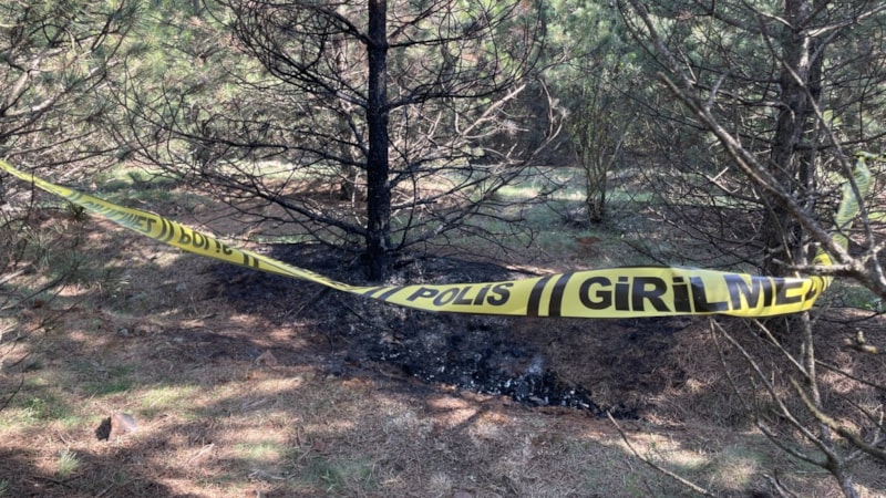 Eskişehir'de kaybolan genç kadın ormanda yakılarak öldürüldü