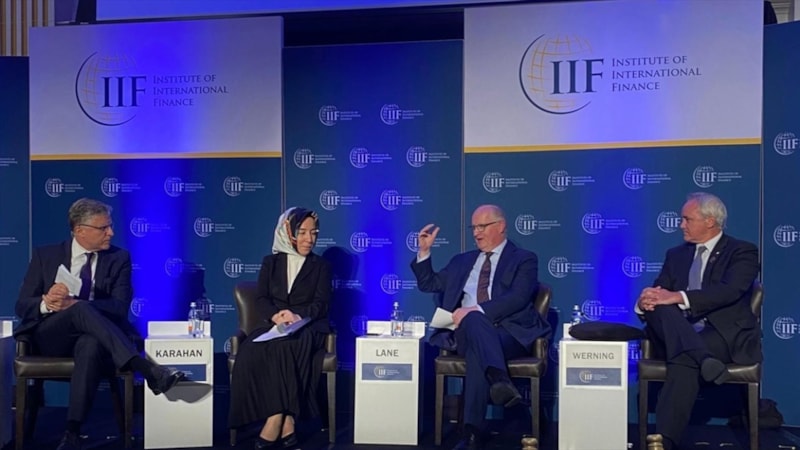 Hatice Karahan: Bu dönemde sıkı parasal duruşa odaklanacağız