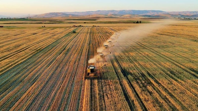 Çiftçilere 6,7 milyar lira destek ödemesi yapılıyor