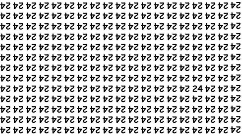IQ Testi: 24 Sayısını Görebiliyorsanız Dahi Seviyesindesiniz...