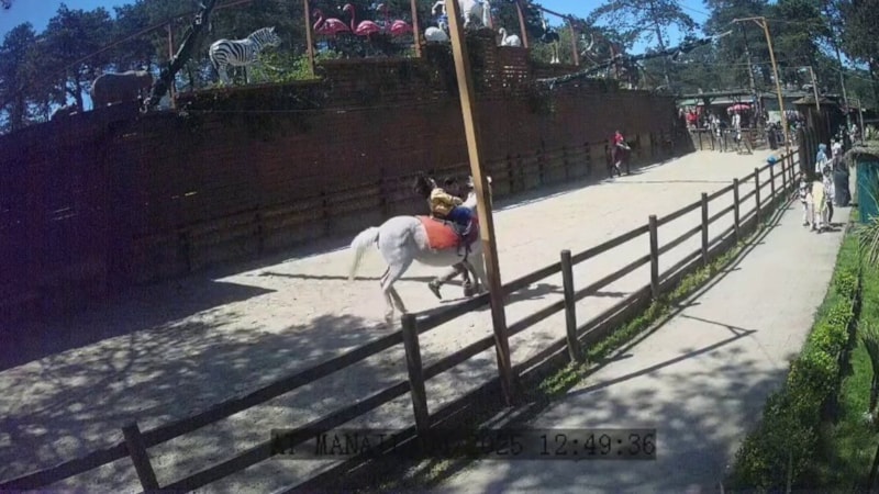 İstanbul'da hayvanat bahçesinde deprem anları