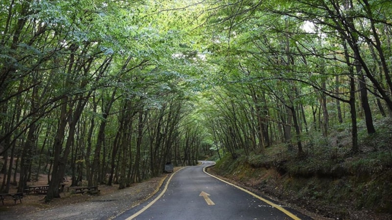 Antalya'da 1 Mayıs'ta ormanlara giriş yasağı başlıyor