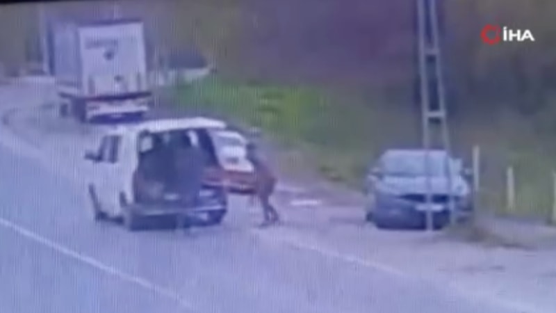 İstanbul'da deprem paniğini fırsat bilip sitenin banklarını çaldılar