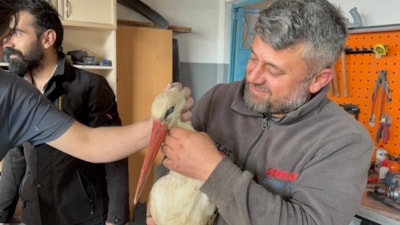 Karabük'te bitkin haldeki leyleğe oto kaporta ustası sahip çıktı