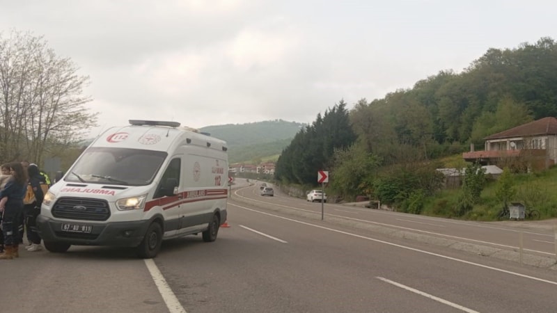 Zonguldak'ta otomobil tarlaya uçtu