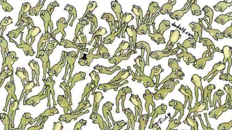 IQ Testi: 5 Saniyede Zıplamayan Kurbağayı Bulun!