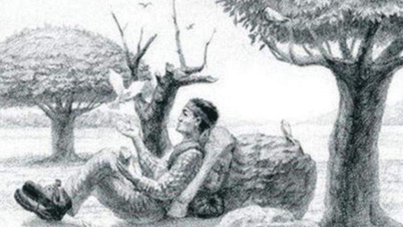 Beyin Jimnastiği: Resimdeki gizli atı 5 saniyede bulan, zekasını kanıtlıyor