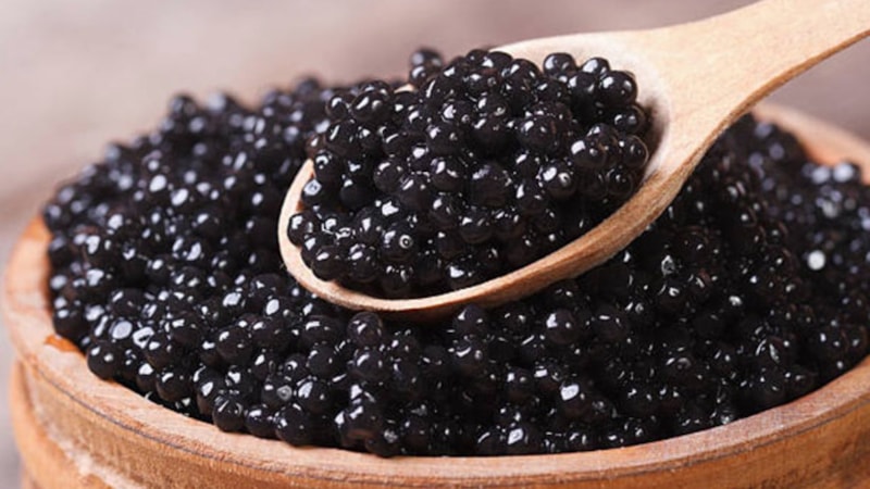 Nesli tükeniyor, değeri katlanıyor! Kilosu 2 bin 500 dolara satılıyor: Faydaları saymakla bitmiyor