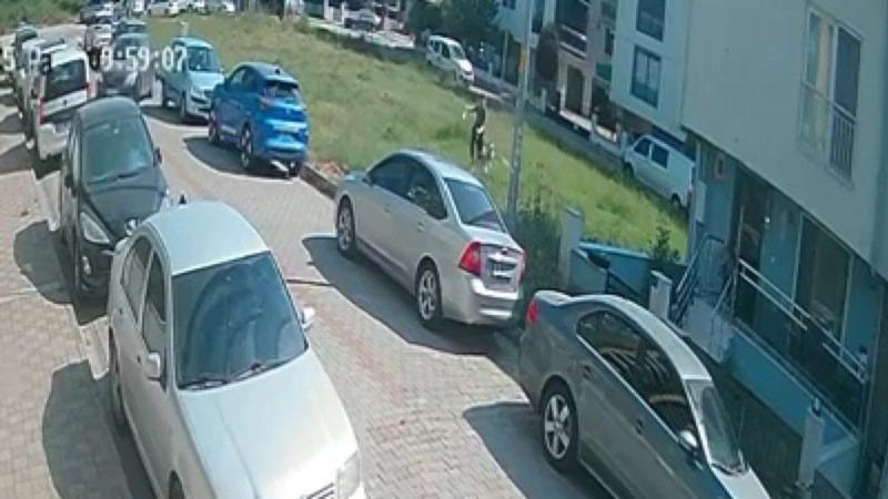 Aydın'da başıboş köpek tehlikesi: Mahalle sakinleri endişeli