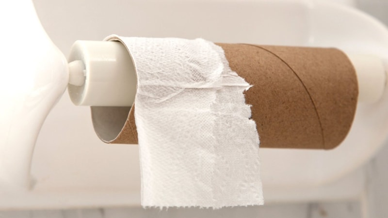 Biten tuvalet kağıdı ruloları bakın ne işe yarıyor...