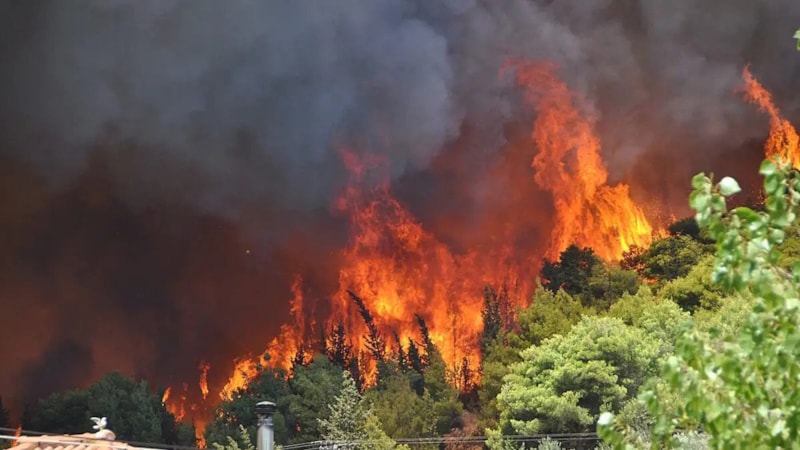 Yunanistan'ın Zakintos Adası'nda orman yangını