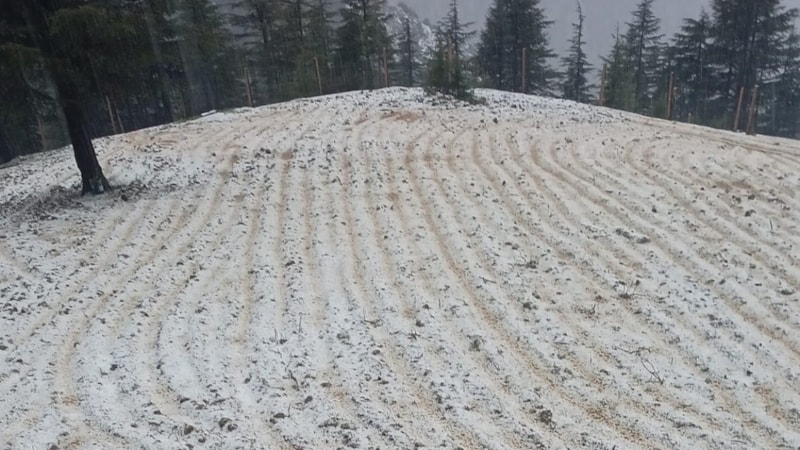 Adana'da dolu yağışı: Tarım arazileri zarar gördü