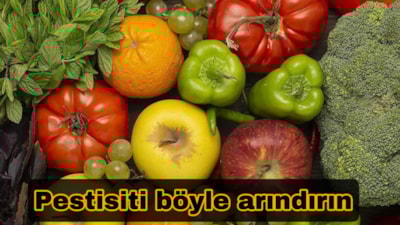 5 dakikada pestisit temizliği: Bu yöntemle %100 arınıyor...