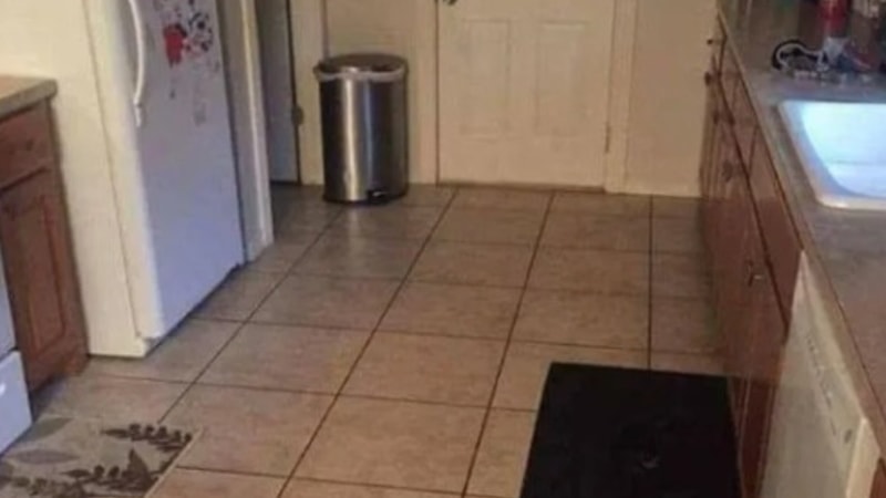 Görsel Zeka Testi: Bu Köpeği 9 Saniyede Bulanların IQ'su 140 Üstü Çıkıyor!