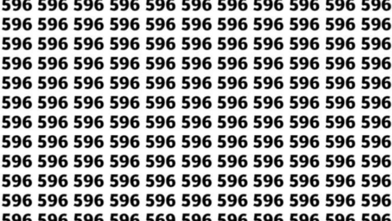 Dikkat testi: Resimdeki 569 sayısını 5 saniyede bulanlar yüksek IQ'lu sayılıyor