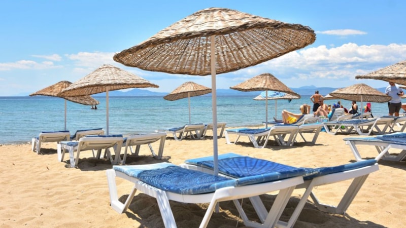 Bu plajda deniz kabuğu toplamak yasaklandı! Toplayana 50 bin TL ceza kesiliyor