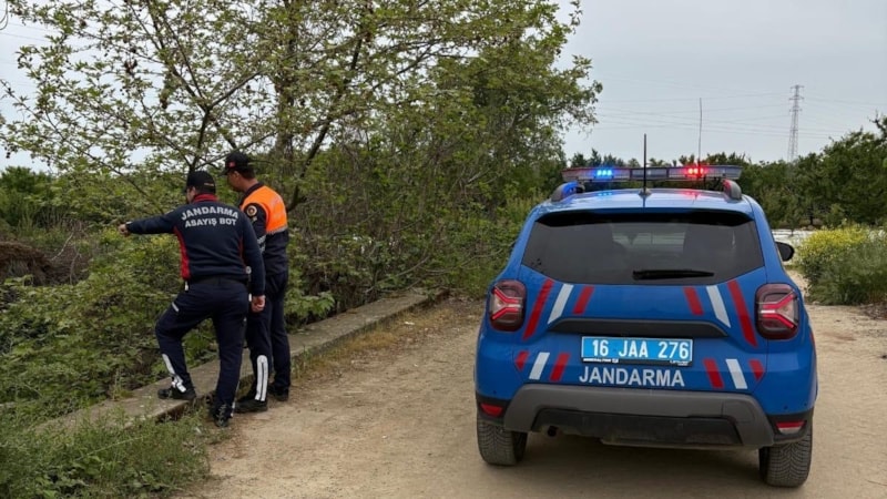 Bursa'da kaçak avcılık operasyonu