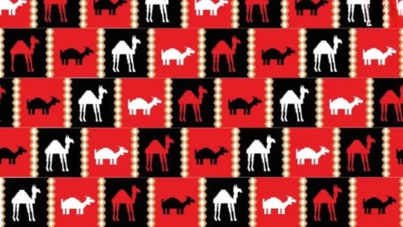 İllüzyon testi: 3 ayaklı deveyi bulun, IQ'nuzu 140'a uçurun...