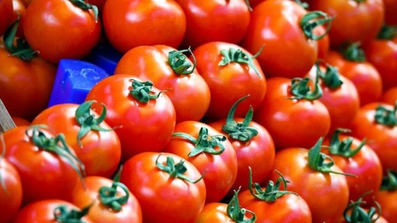 'Sakın Tüketmeyin' domatesler için bakteri alarmı verildi! Raflardan kalkıyor