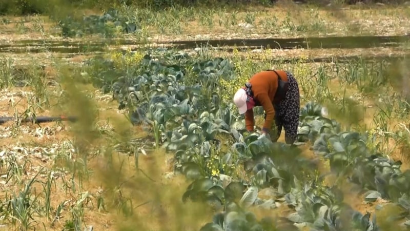 Devletin tarım arazilerine el koyacağı iddiası gerçeği yansıtmıyor