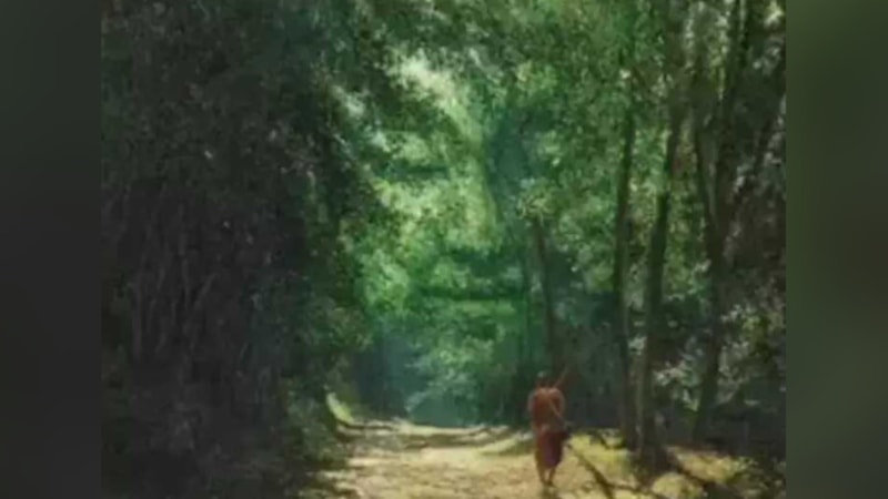 Kişilik Testi: İlk bakışta ne gördünüz? Ağaçlardaki yüzü gördüyseniz...