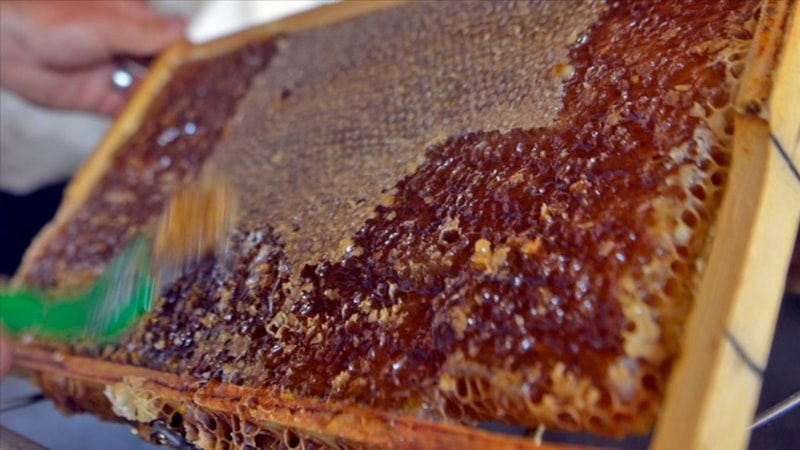 Ardahan Çiçek Balı'nın AB coğrafi işaret başvurusu için protokol imzalandı