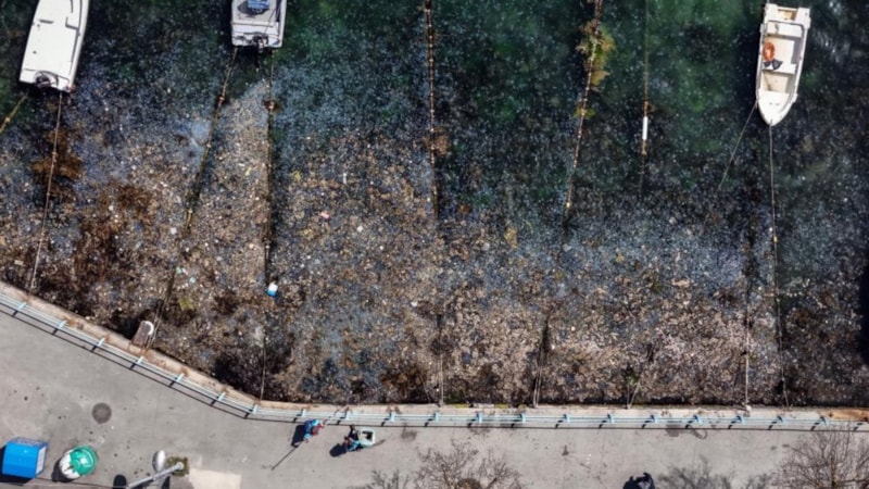 İstanbul Boğazı'nda tehlike çanları: Kirlilik havadan görüntülendi