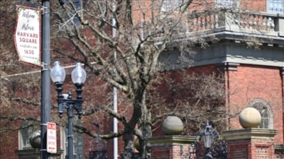 ABD Eğitim Bakanlığı: Harvard'a yeni federal fon verilmeyecek