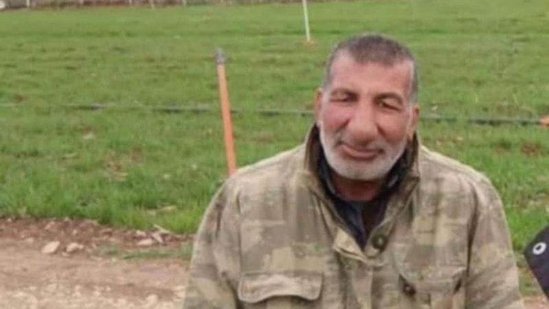 Şanlıurfa'da koyun otlatan çobana otomobil çarptı