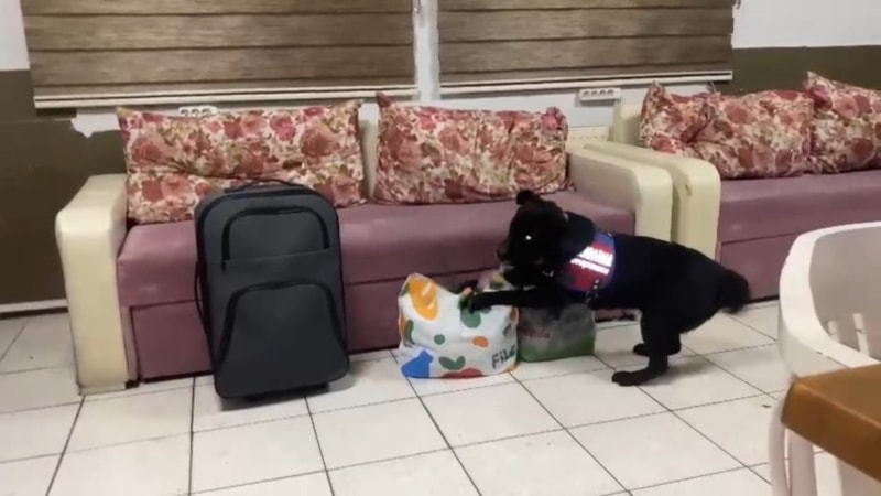 Samsun'da uyuşturucu operasyonu düzenlendi