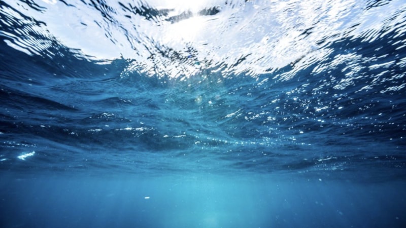 Dünya'nın derin deniz tabanının sadece yüzde 0,001'ini keşfettik