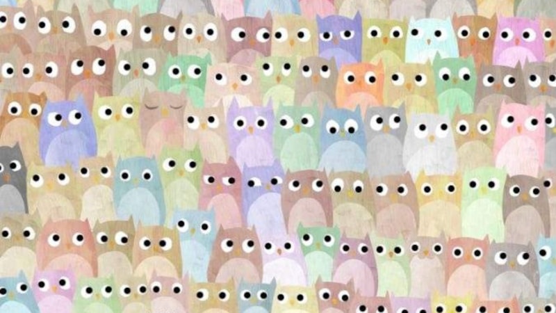 IQ Ölçer: Baykuşların Arasında Bakın, Farklı Olanı Yakalayın...