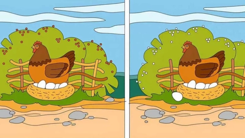 İki resim arasındaki 5 farkı sadece yüksek IQ'su olanlar 11 saniyede buluyor!