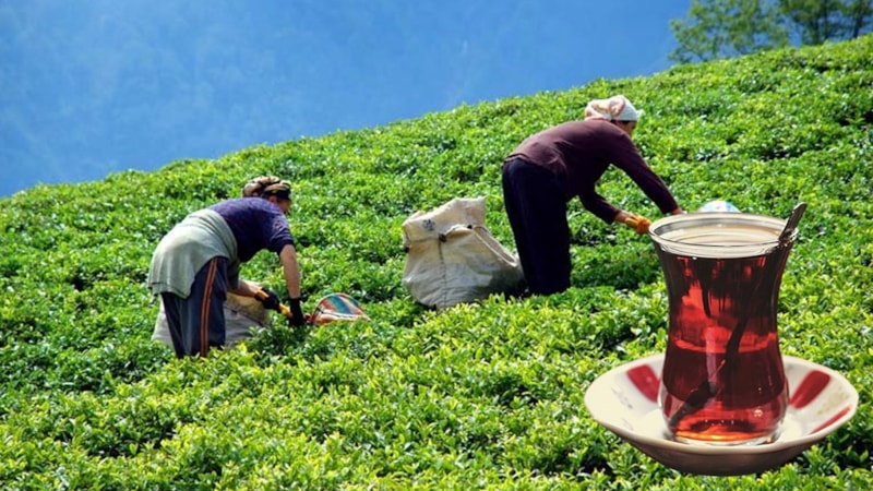 Türkiye merkezli çay devi satılıyor! Karar o tarihte açıklanacak