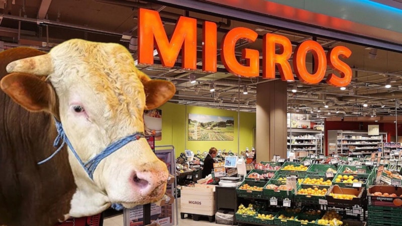 Migros kurban fiyatları 2025: Küçükbaş ve büyükbaş kurbanlık fiyatları...