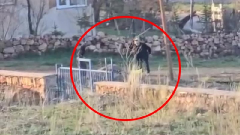 Sivas'ta eşeğe sopalı saldırı