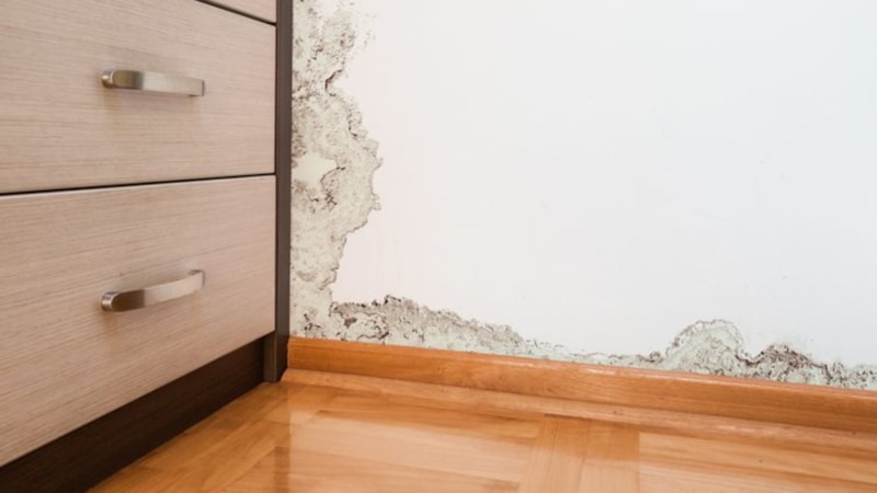 Evde küf neden olur? Nasıl önlenir?