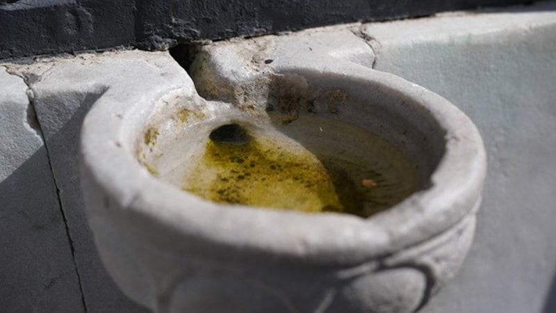 Osmanlı'nın zarif mimari ustalığı: Yüzyıllardır süslenen kuş sebilleri ve çanakları