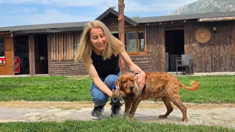 Hatay'da 3 aydır kayıp köpeği Çilek'i ağaca bağlı halde buldu