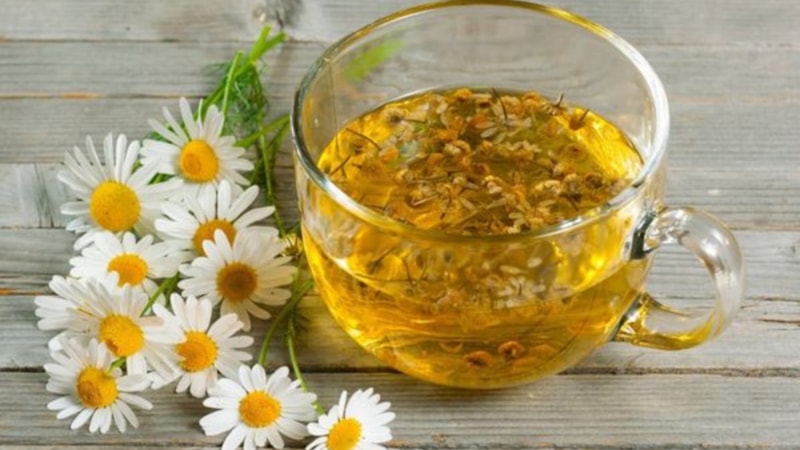 Her gün bir fincan içenin hayatı değişiyor: Papatya çayının faydaları şaşırtıyor!