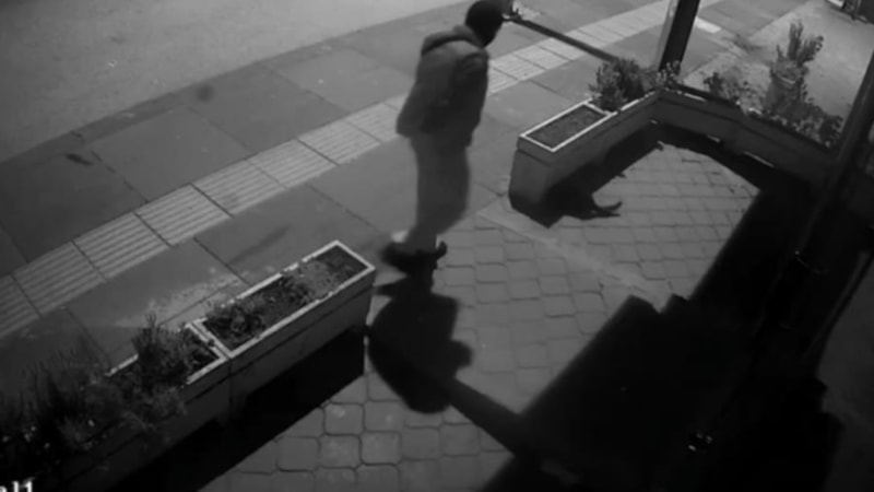 Ankara'da kedi hırsızlığı görüntülendi