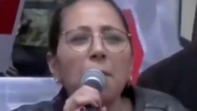 Sera Kadıgil'den basın açıklaması: Bütün köpekler adına sesleniyorum