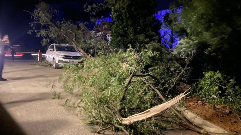 Artvin’de etkili olan fırtına, hayatı olumsuz etkiledi
