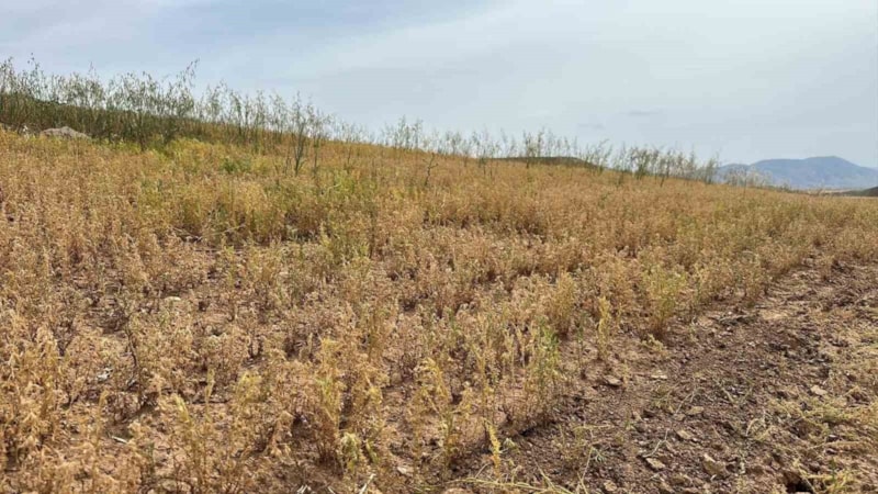 Hasadı başladı: Onsuz çorba pişirilmiyor...