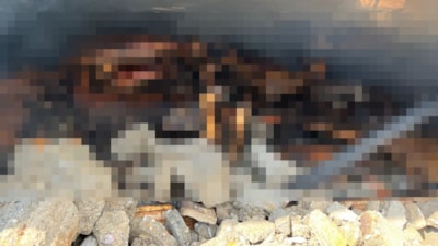 Balıkesir'de ağılda çıkan yangında 42 küçükbaş telef oldu