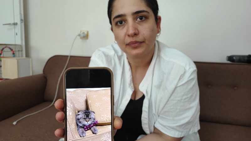 Adana'da kedileri kayboldu, kocası 