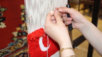 Bir tanesinin değeri 100 bin TL: Vatandaşlar almak için sıraya giriyor