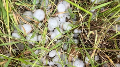 Diyarbakır'da sağanak yağış nedeniyle biriken su halk otobüsüne taştı