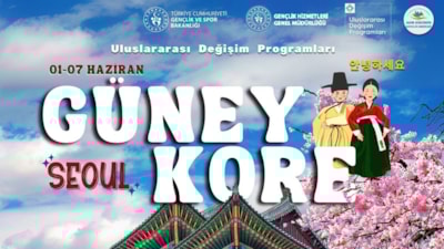 Bakanlık'tan Ücretsiz Kore Gezisi: Başvuru Ekranı Açıldı! İşte Şartlar...